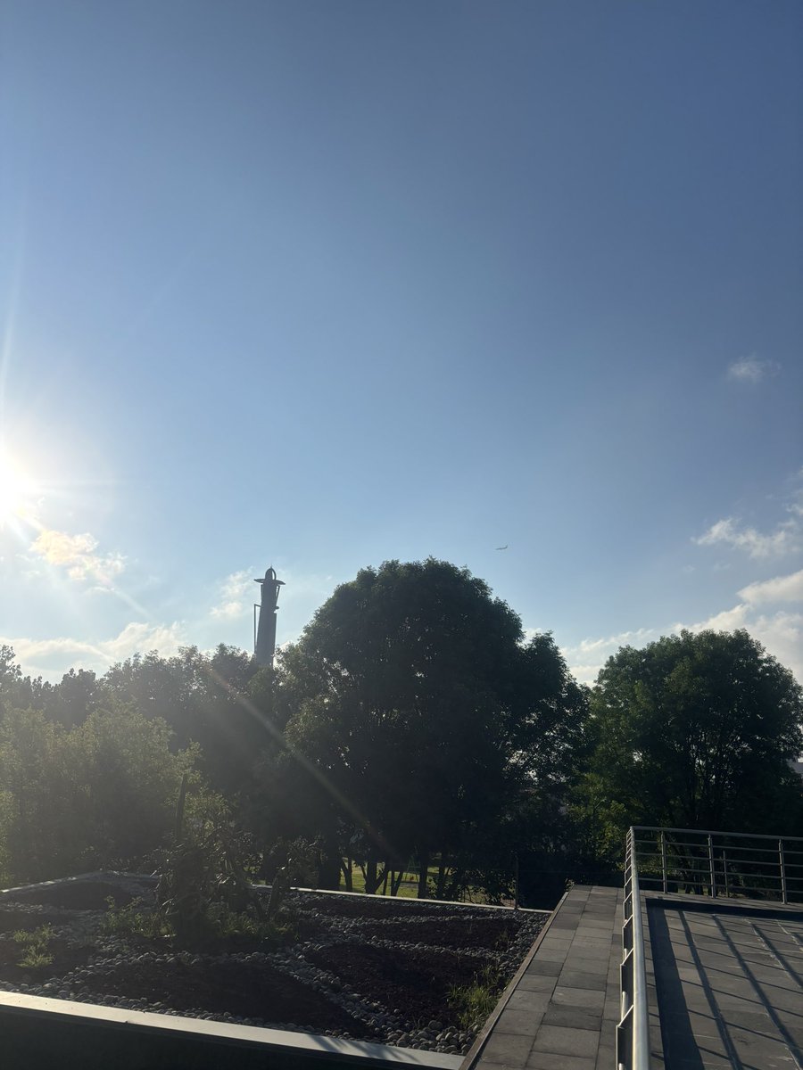 rykardomch tweet media