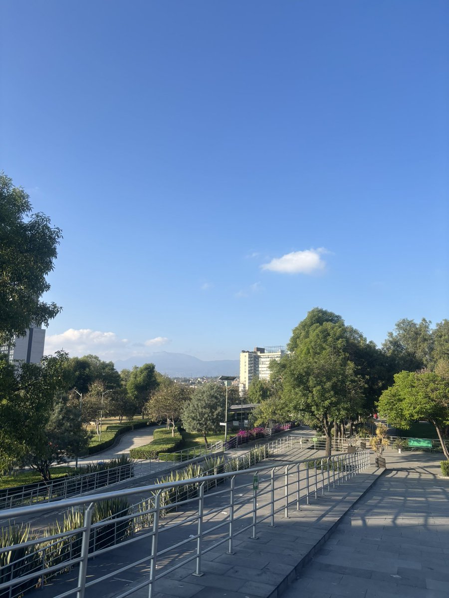 rykardomch tweet media