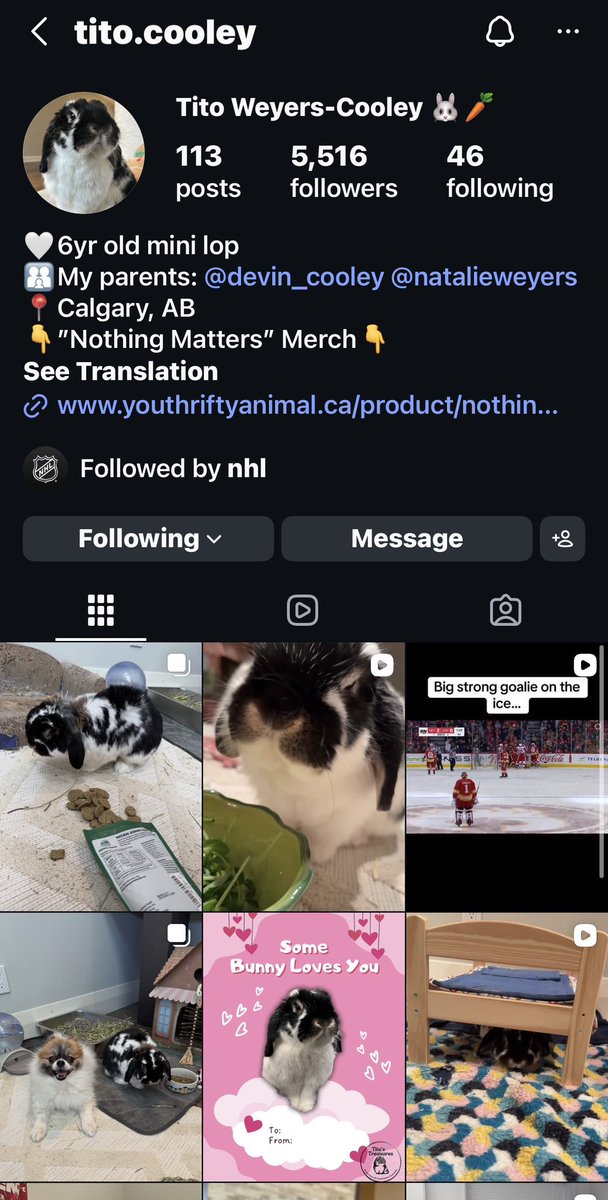 Conny Martin 🏒 tweet media