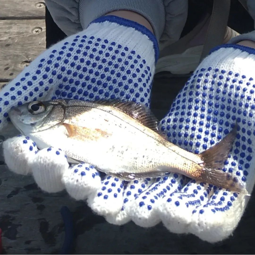 お父さん＠へでな士事務所 tweet media