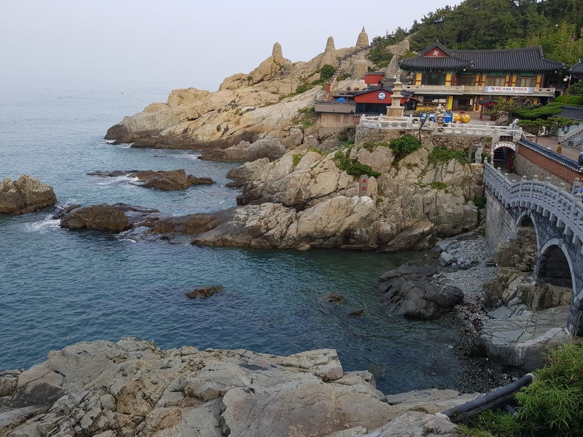 shadowguy tweet media