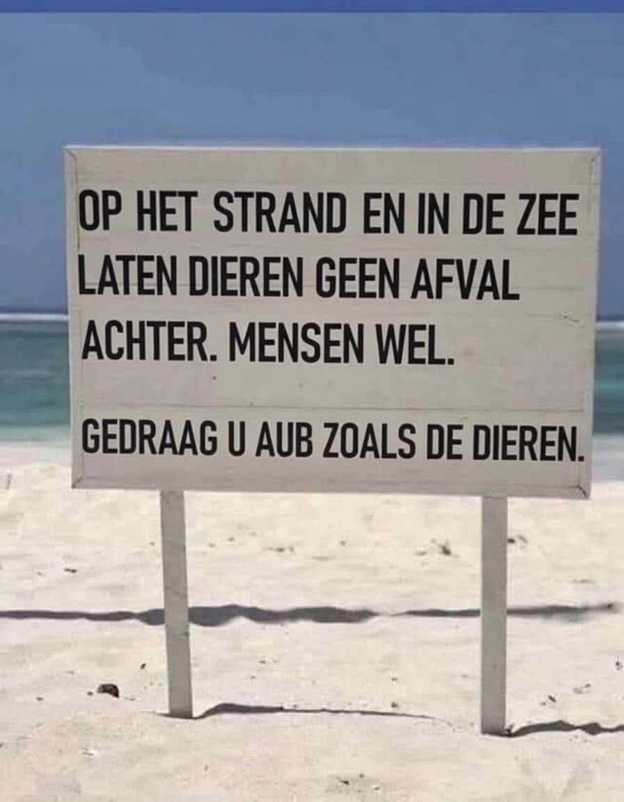 Eelco Van Hoecke tweet media