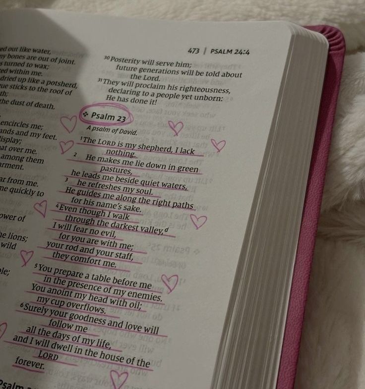 Bible 365 tweet media