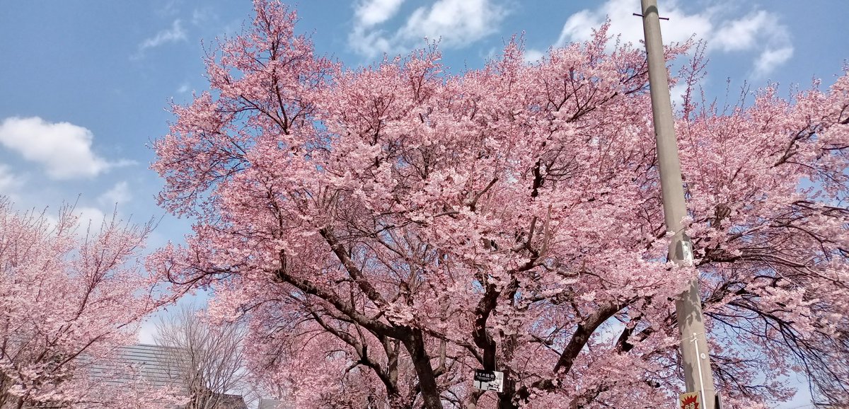 小池隆 tweet media