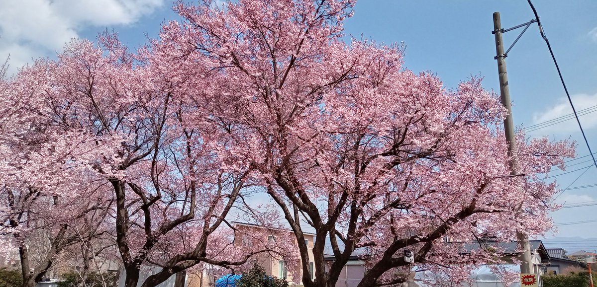 小池隆 tweet media