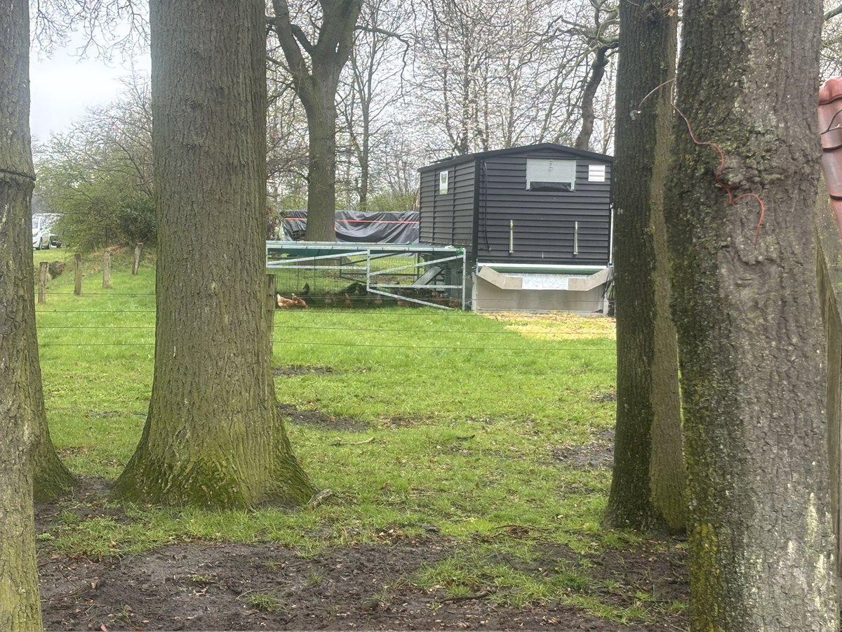 Caroline van der Plas tweet media