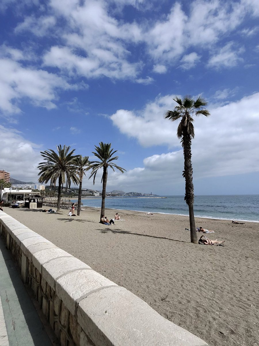 Herr Rock 💢 tweet media