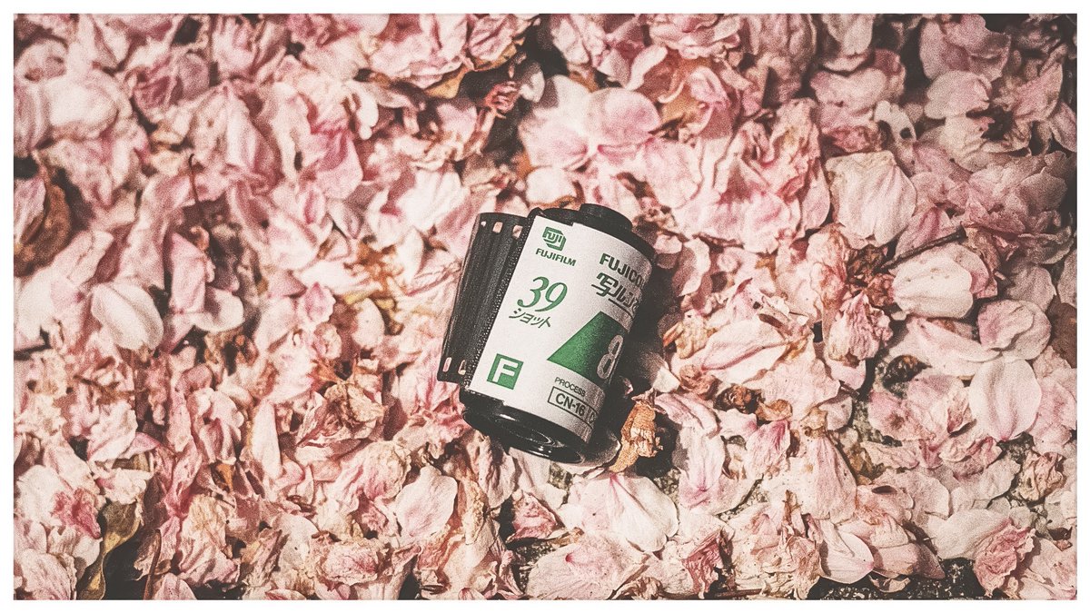 鈴乃 蒼/merry tweet media