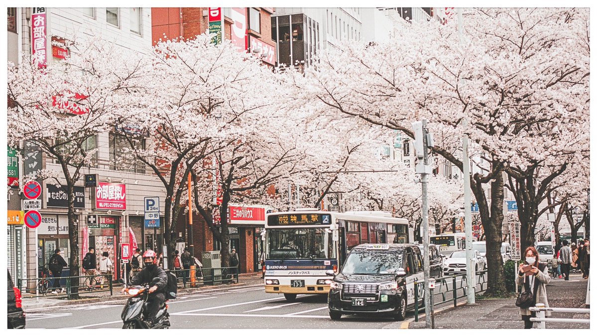 鈴乃 蒼/merry tweet media