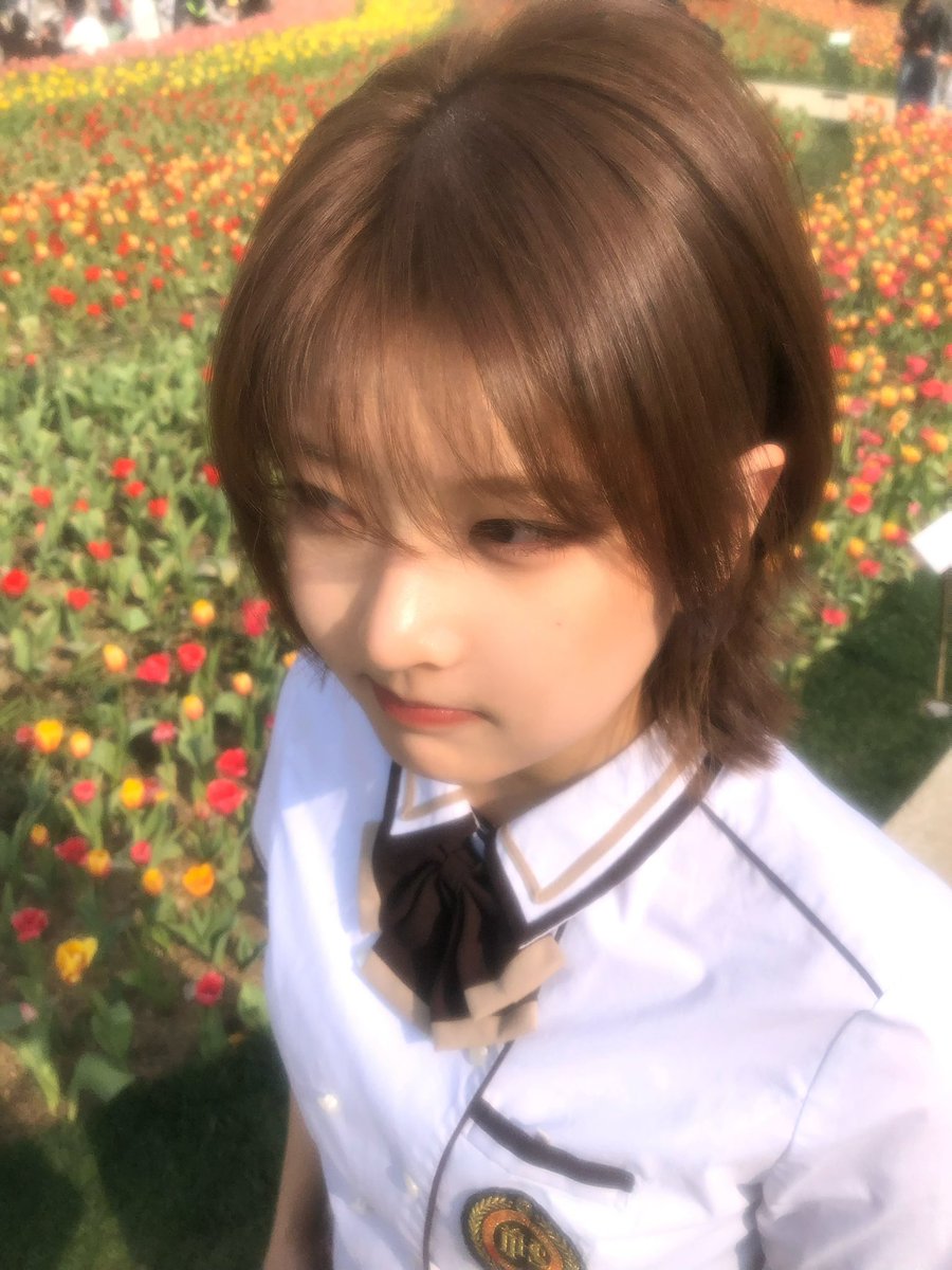 요맘때딸기 tweet media