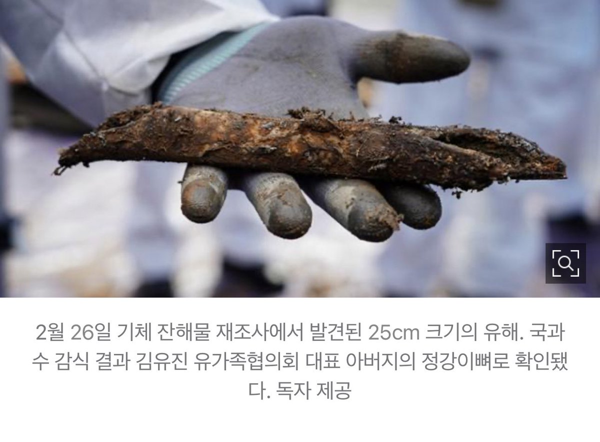 TheKyo🕊️ tweet media