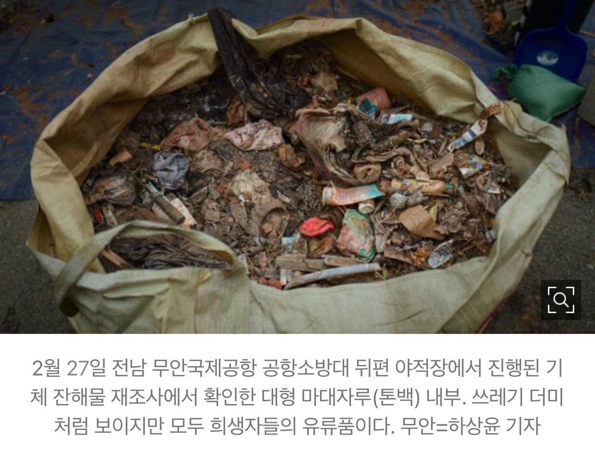 TheKyo🕊️ tweet media