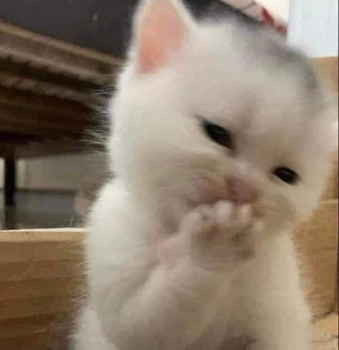 รักครูเท่าโลกเลย Love You Teacher tweet media