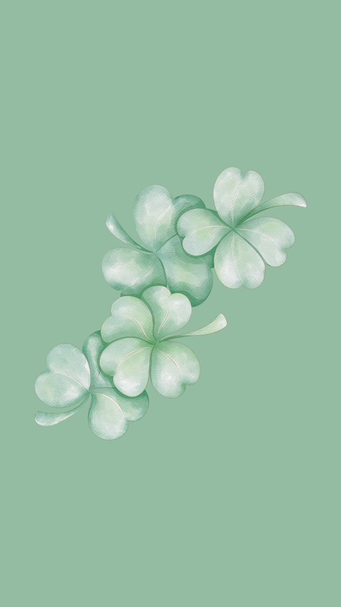 Solithra ☀️ tweet media