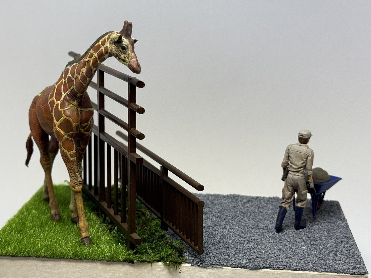 ごま半月 tweet media