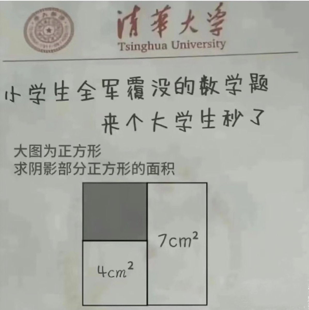 禿道道🐟 tweet media