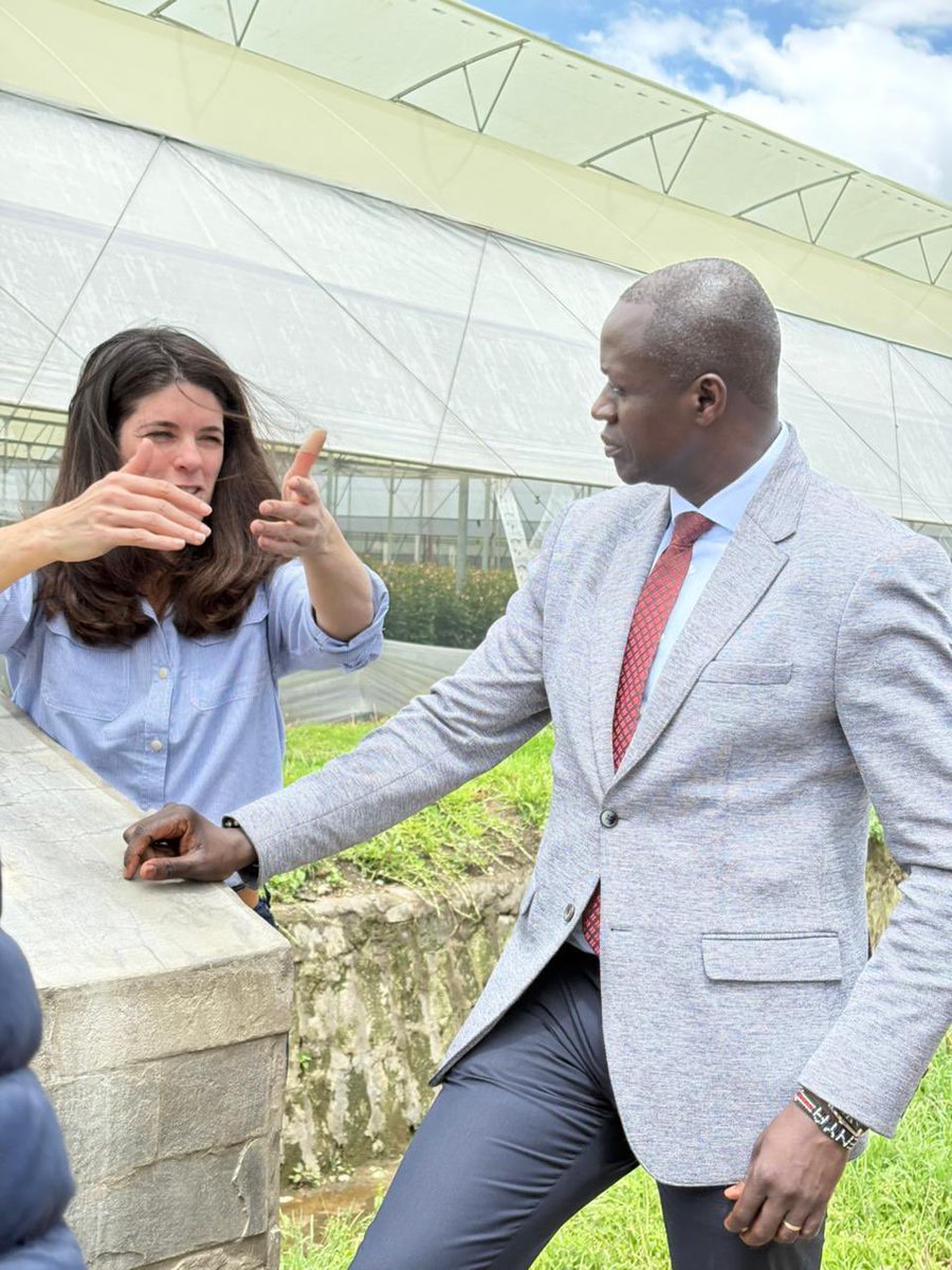 MMakoloo's tweet photo. Bold. Together. Building for Future Generations. 🇰🇪🇬🇧

Ahead of the 19th Ambassadors’ Conference, I visited Flamingo Horticulture in Naivasha at the invitation of Ms. @OliviaStreatfeild, Group CEO of @FlamingoGroup International.

What I witnessed was a compelling demonstration of how well-aligned #partnerships between government, private capital, and local communities translate into real economic opportunity. At Flamingo, #strategicinvestment converges with #innovation, #youthtalent, and #environmentalstewardship to deliver competitive world-class horticultural products for global markets.

Behind their every bouquet lies a broader dynamic ecosystem: Kenyan scientists, farmers, talented young innovators, and small-scale enterprises, all working in concert with a forward-looking investor under a supportive policy environment.

Flamingo’s ongoing USD 14 million expansion in Naivasha signals strong confidence in Kenya’s agricultural sector. The additional investment will further strengthen the horticulture value chain, create thousands of jobs, and expand Kenya’s export capacity. In a sector central to foreign exchange earnings and livelihoods, this is the kind of ambitious impact-at-scale envisioned by the Kenya–UK #StrategicPartnership.

Equally significant is Flamingo's deliberate prioritization of packed-at-source, Fairtrade-accredited, bouquet production, enabled by climate-smart technologies that respond directly to the evolving standards in key markets, particularly the United Kingdom. This welcome move harmoniously aligns with the targeted goals of the Bottom-Up Economic Transformation Agenda #BETA

These encouraging outcomes reaffirm a simple proposition: a predictable and enabling business environment; where capital, markets, innovation, and policy alignment converge, remains essential to sustaining growth and expanding employment opportunities.

I thank Olivia for the invitation and to reassure her and her impressive team in Naivasha of our continued support. Equally grateful to Prof. Njenga who continues to connect Kenyan ideas with global markets. 

@UKinKenya 
@KenyaMissionUK 
@Trade_Kenya 
@InvestKenya_ 
@MakeItKenya 
@kenya_produce 
@britchamken