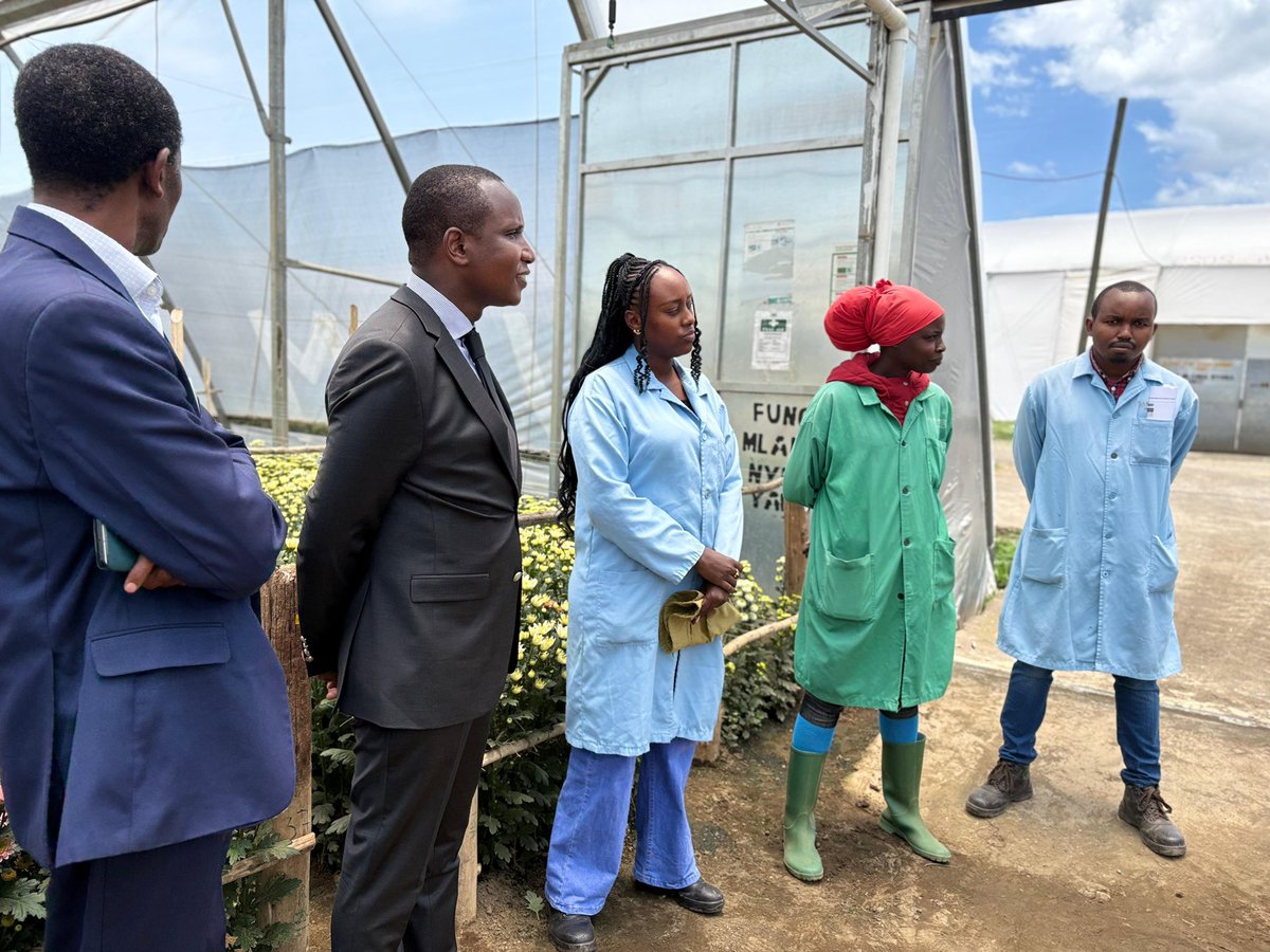 MMakoloo's tweet photo. Bold. Together. Building for Future Generations. 🇰🇪🇬🇧

Ahead of the 19th Ambassadors’ Conference, I visited Flamingo Horticulture in Naivasha at the invitation of Ms. @OliviaStreatfeild, Group CEO of @FlamingoGroup International.

What I witnessed was a compelling demonstration of how well-aligned #partnerships between government, private capital, and local communities translate into real economic opportunity. At Flamingo, #strategicinvestment converges with #innovation, #youthtalent, and #environmentalstewardship to deliver competitive world-class horticultural products for global markets.

Behind their every bouquet lies a broader dynamic ecosystem: Kenyan scientists, farmers, talented young innovators, and small-scale enterprises, all working in concert with a forward-looking investor under a supportive policy environment.

Flamingo’s ongoing USD 14 million expansion in Naivasha signals strong confidence in Kenya’s agricultural sector. The additional investment will further strengthen the horticulture value chain, create thousands of jobs, and expand Kenya’s export capacity. In a sector central to foreign exchange earnings and livelihoods, this is the kind of ambitious impact-at-scale envisioned by the Kenya–UK #StrategicPartnership.

Equally significant is Flamingo's deliberate prioritization of packed-at-source, Fairtrade-accredited, bouquet production, enabled by climate-smart technologies that respond directly to the evolving standards in key markets, particularly the United Kingdom. This welcome move harmoniously aligns with the targeted goals of the Bottom-Up Economic Transformation Agenda #BETA

These encouraging outcomes reaffirm a simple proposition: a predictable and enabling business environment; where capital, markets, innovation, and policy alignment converge, remains essential to sustaining growth and expanding employment opportunities.

I thank Olivia for the invitation and to reassure her and her impressive team in Naivasha of our continued support. Equally grateful to Prof. Njenga who continues to connect Kenyan ideas with global markets. 

@UKinKenya 
@KenyaMissionUK 
@Trade_Kenya 
@InvestKenya_ 
@MakeItKenya 
@kenya_produce 
@britchamken