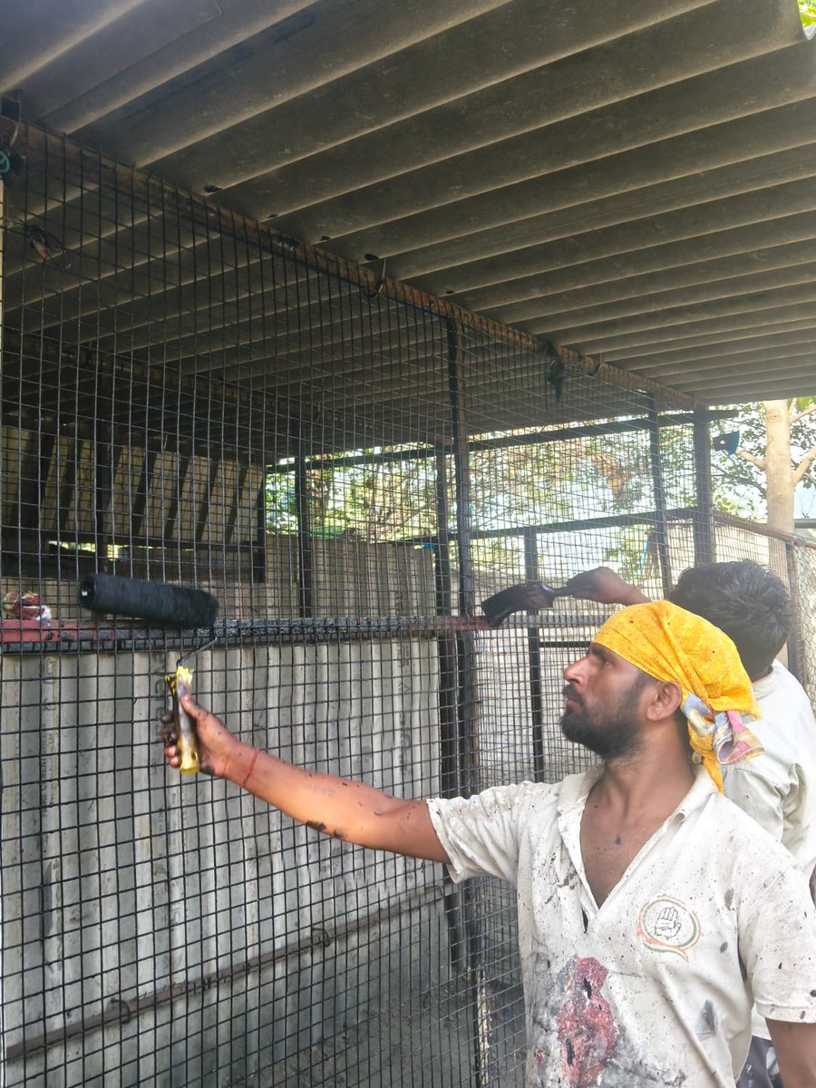 Janm Foundation Animal Welfare tweet media