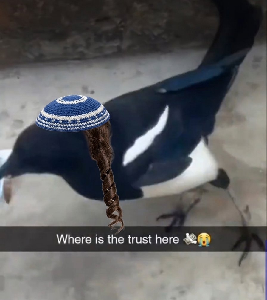 Vegata Rosé tweet media