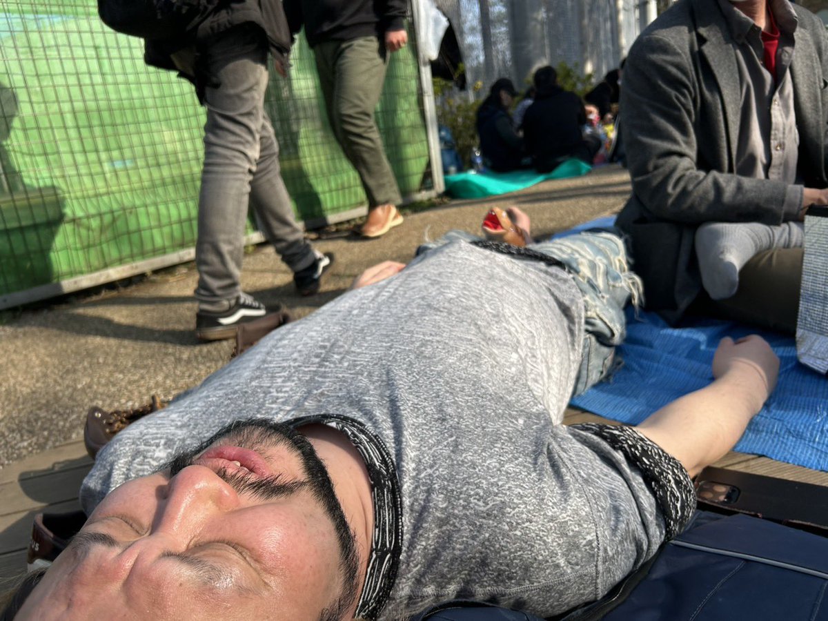 ダライアスくん tweet media