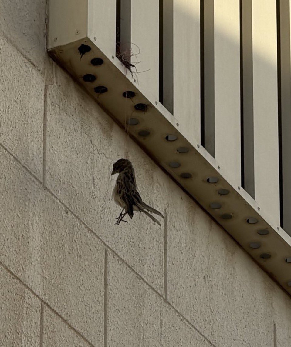 14해니 tweet media