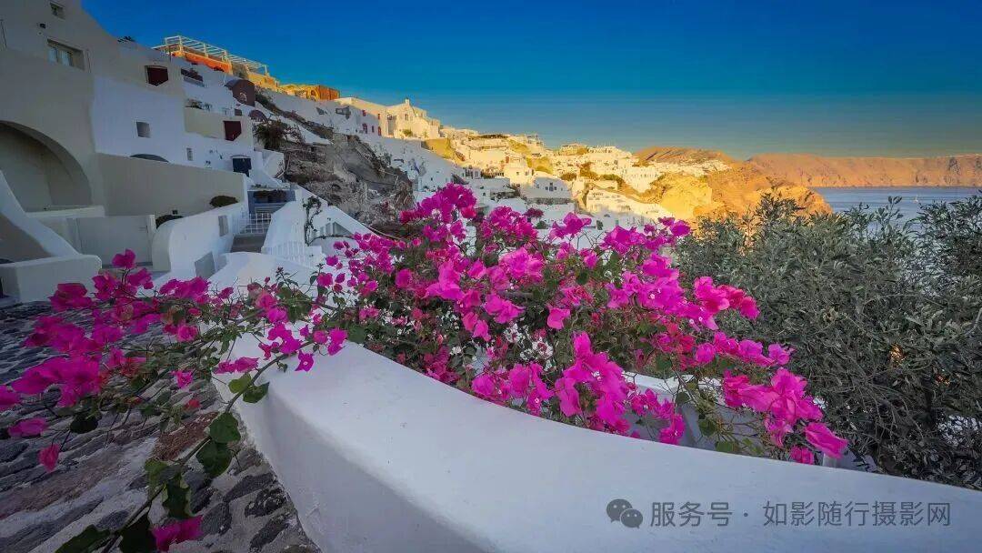 MARY COSTELLO tweet media