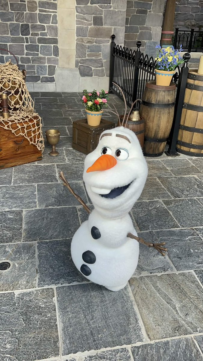 ED92Magic's tweet image. Olaf is back out for some photos today ❄️⛄️