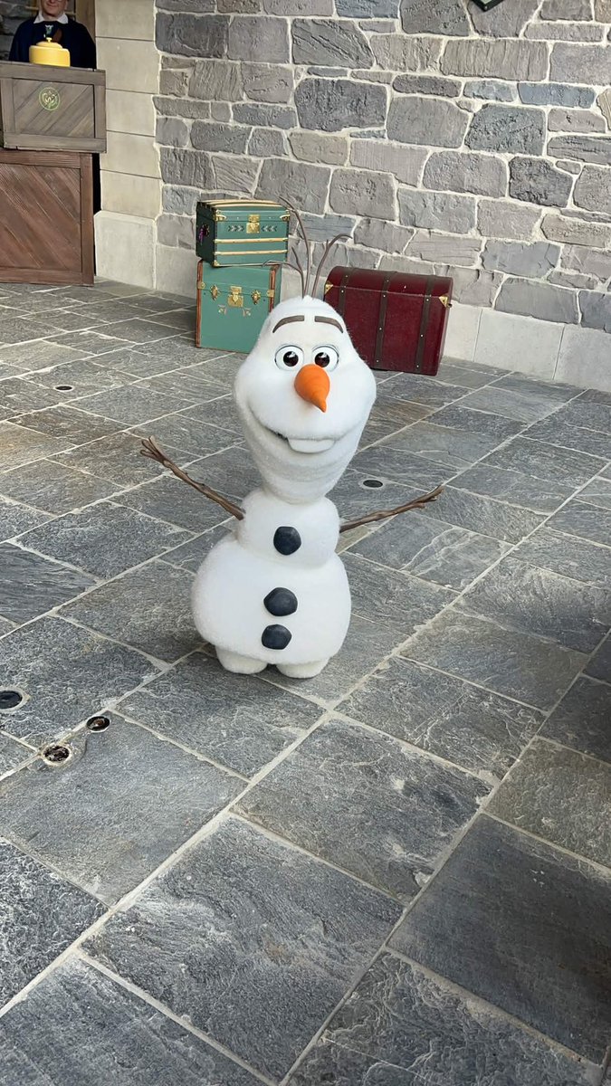 ED92Magic's tweet image. Olaf is back out for some photos today ❄️⛄️