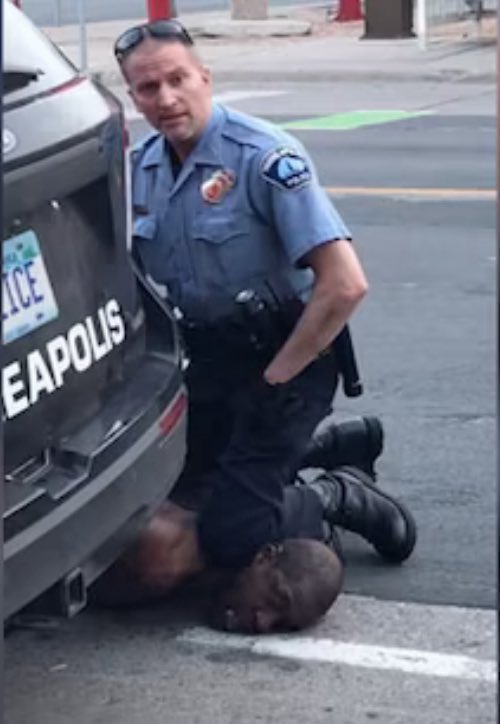 ProgressivePig tweet media