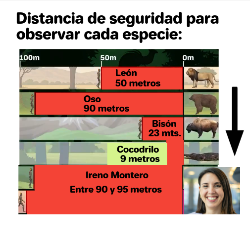 Perradorable 🐩 tweet media