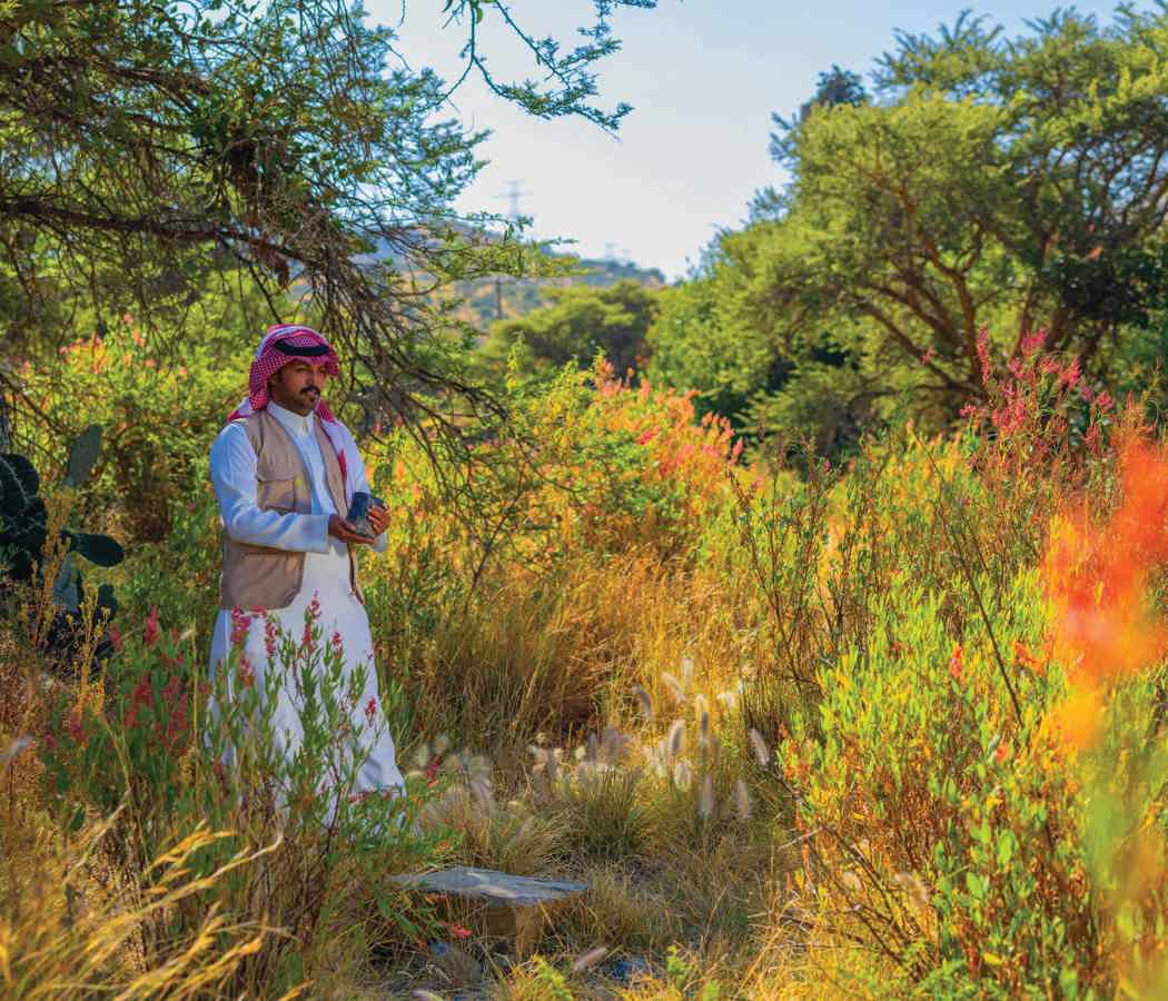 هامورة tweet media