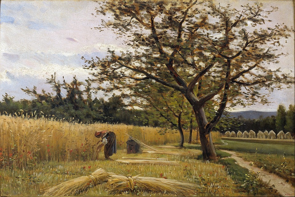 David W. Thompson tweet media