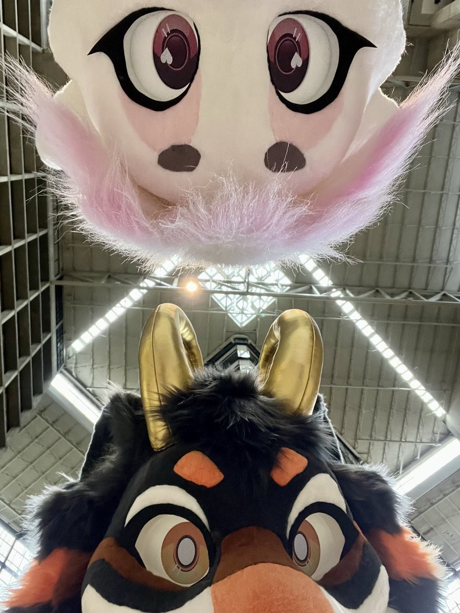 Aroura Borkialis tweet media