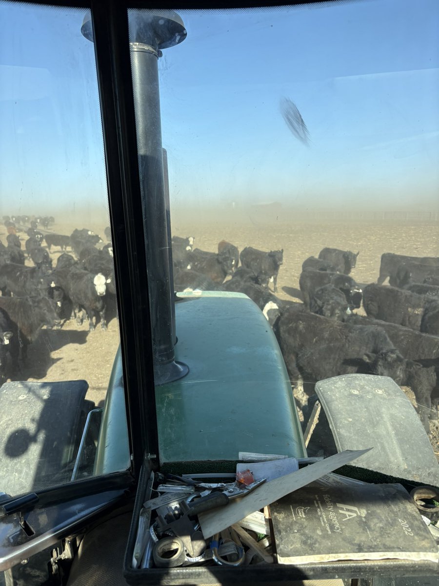 Tales from the Feedyard (Uncensored) tweet media