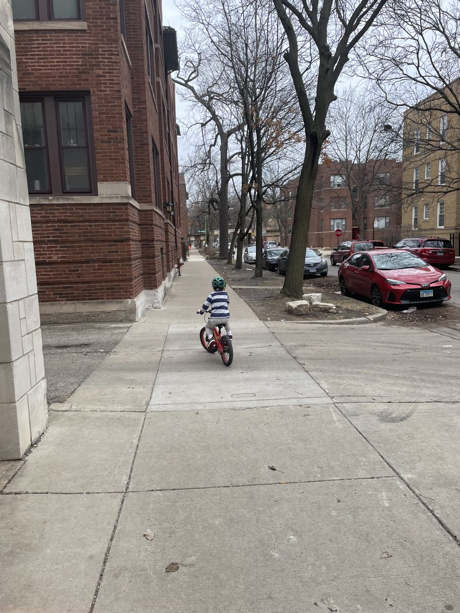 Alicia, Courtyard Urbanist tweet media