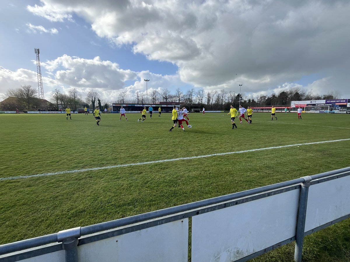 elButro9 tweet media