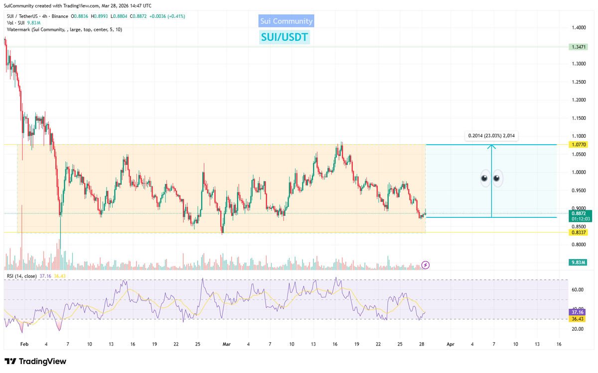 Sui Community💧 tweet media