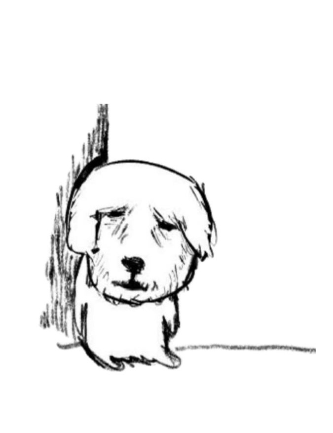 햇살동동 (ФωФ) tweet media