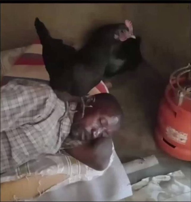 CHEF... 🇺🇬 tweet media