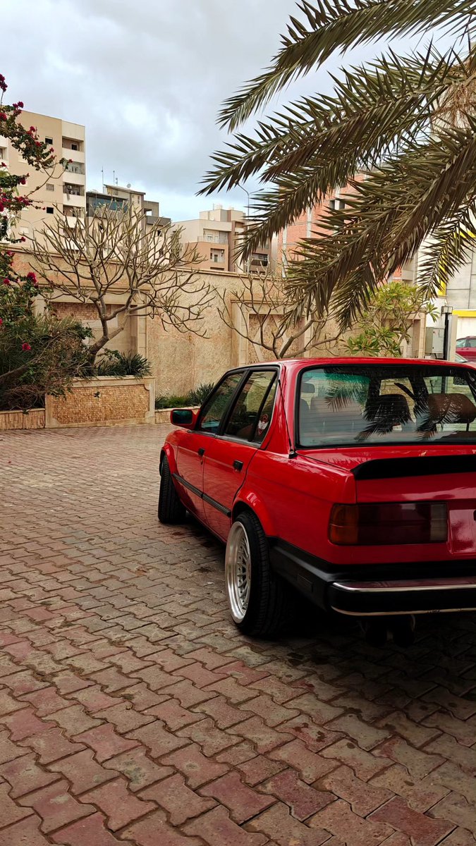 Alharari tweet media