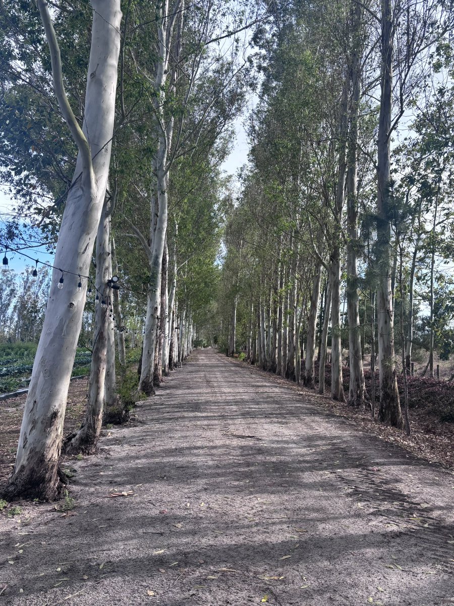 Esdras Simervil tweet media