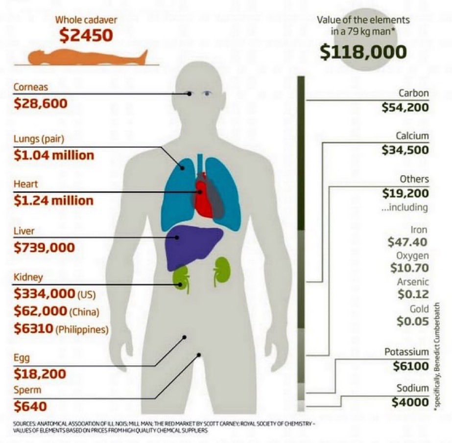 TheFoxesSay tweet media
