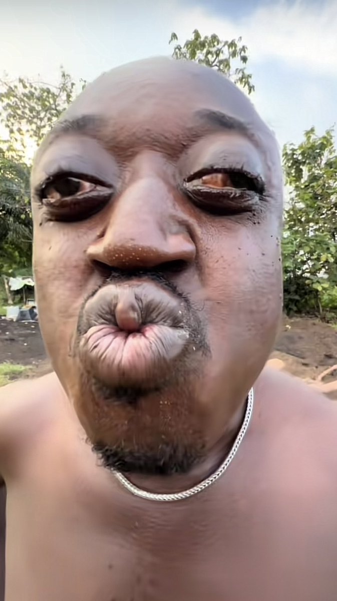 🇱🇧 Franco 🇱🇧 tweet media