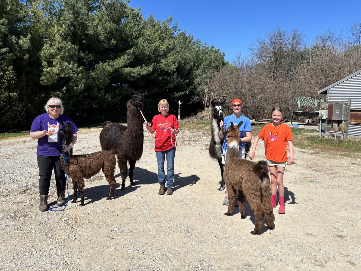 Dr. Todd, Executive Director of Early Learning tweet media