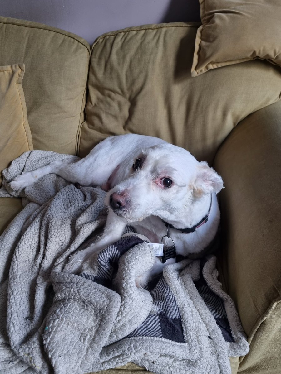 Luke Street tweet media