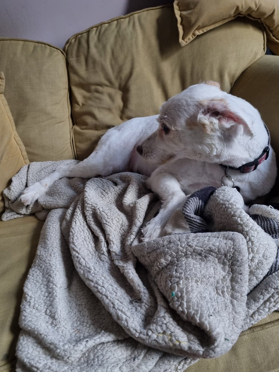 Luke Street tweet media