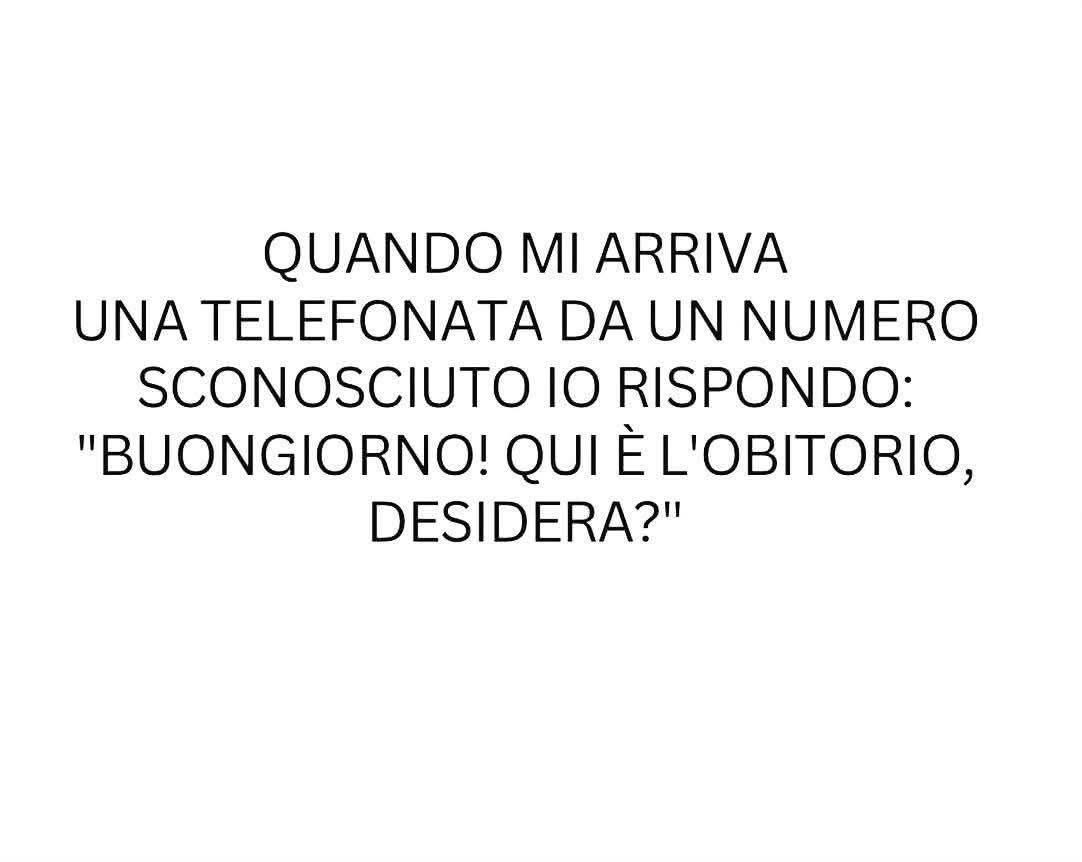 micatwitto tweet media