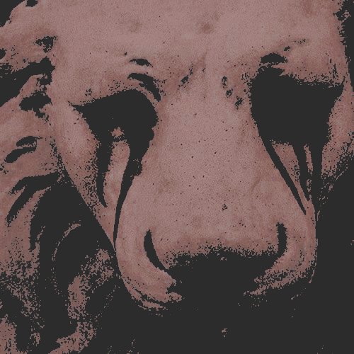 ⊹ ࣪ ˖ 𝐥𝐢𝐭𝐭𝐥𝐞 𝐥𝐢𝐨𝐧 𝐦𝐚𝐧 tweet media