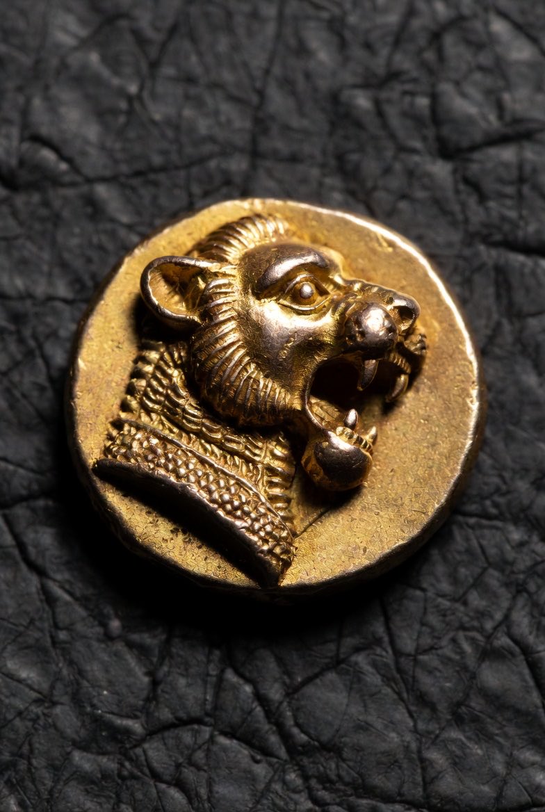 Lydian Lion Gold tweet media